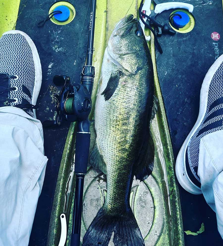 Lake Ivanhoe Bass