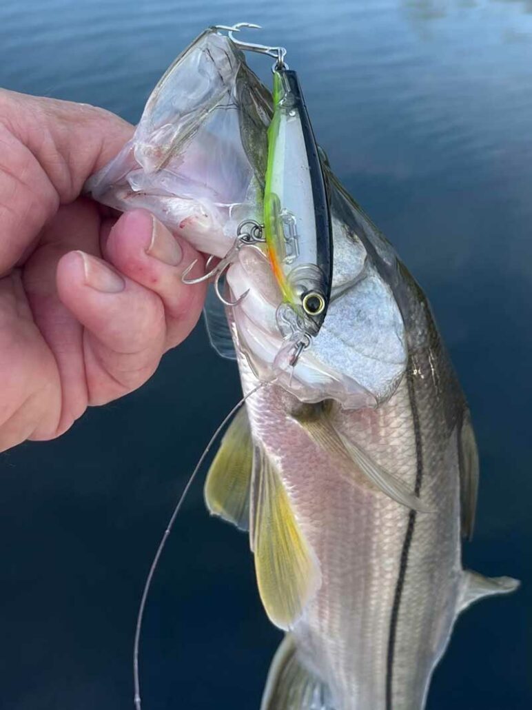 Saltwater Change Up – Indian River Fishing Report