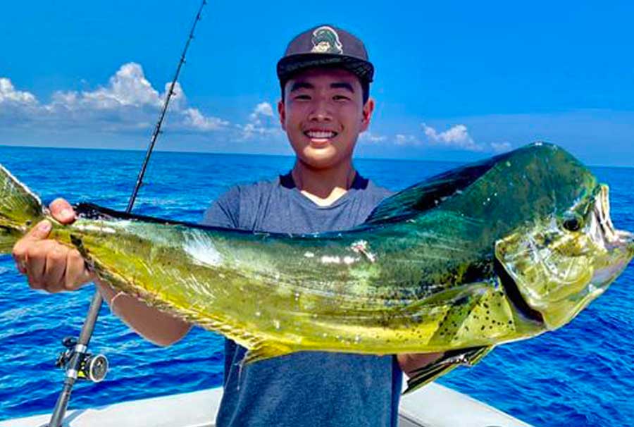 mahi mahi