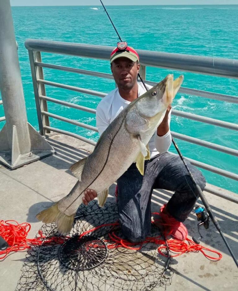 Sebastian Inlet Fishing: Weekly Fishing Reports, Tips, and More