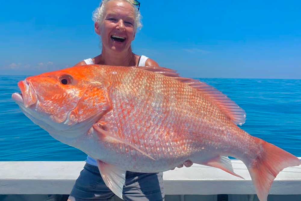 red snapper