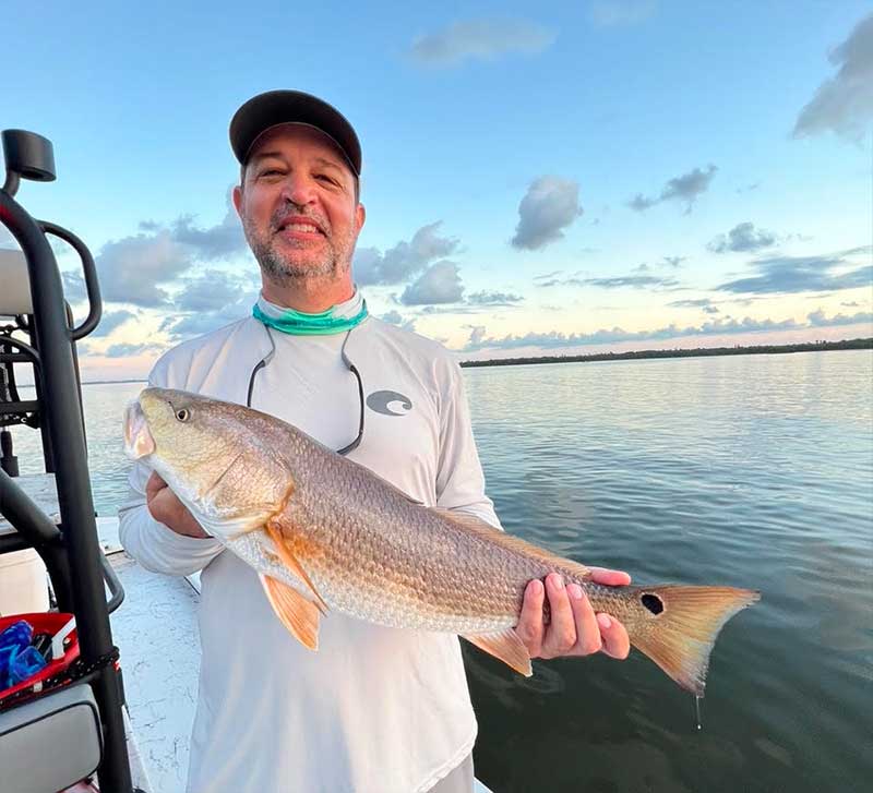 redfish