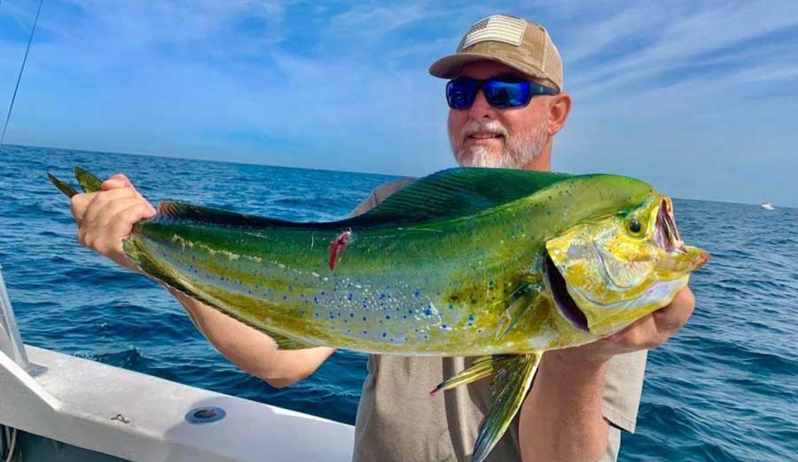 mahi 