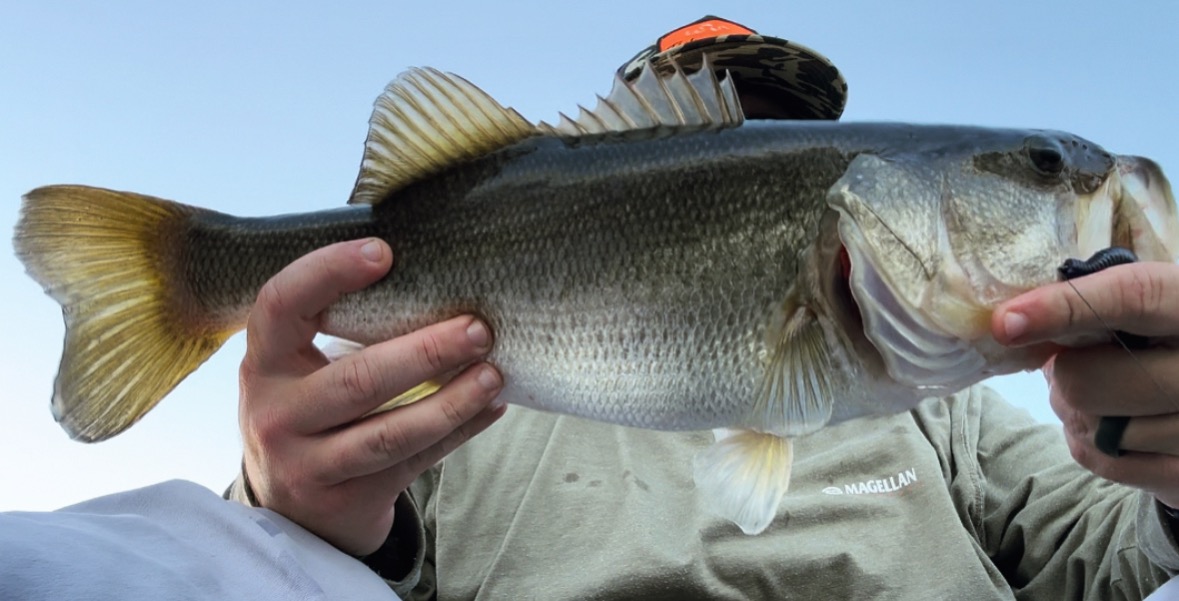 Stick Marsh Bass Fishing