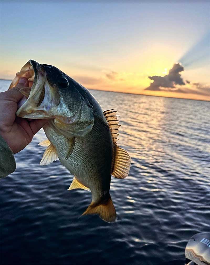 Last Fish of the Day - Sun Setting over the Lake
