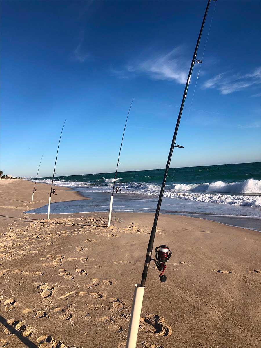 December Report and January Space Coast Surf Fishing Forecast
