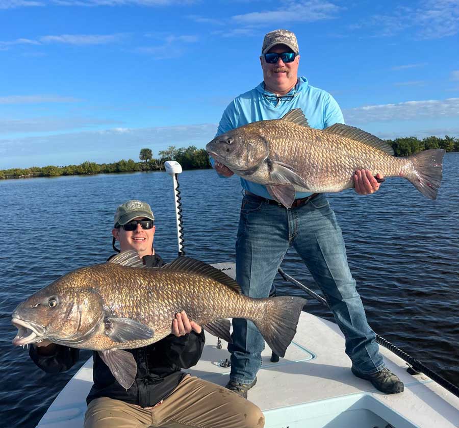 Redfish and Catfish Rig 6 Pack - Boaters Catalog