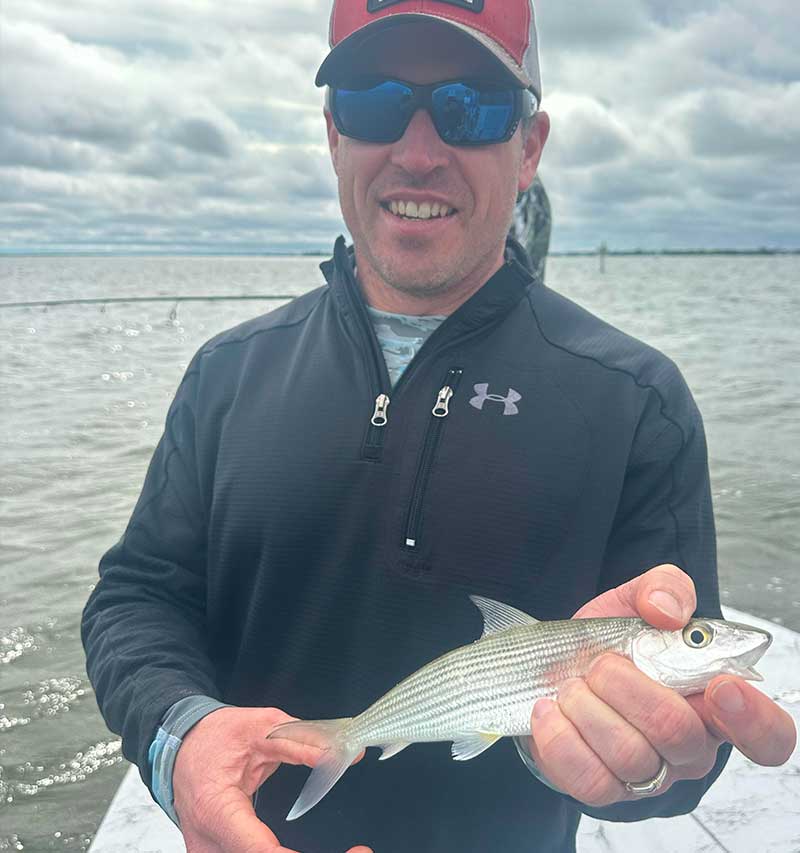 juvenile bonefish