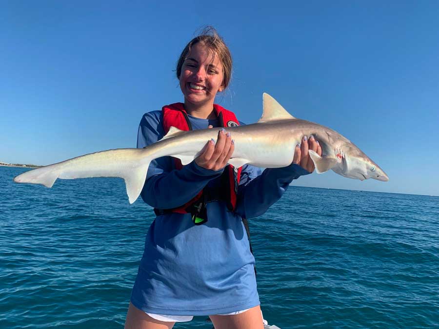 sebastian shark fishing