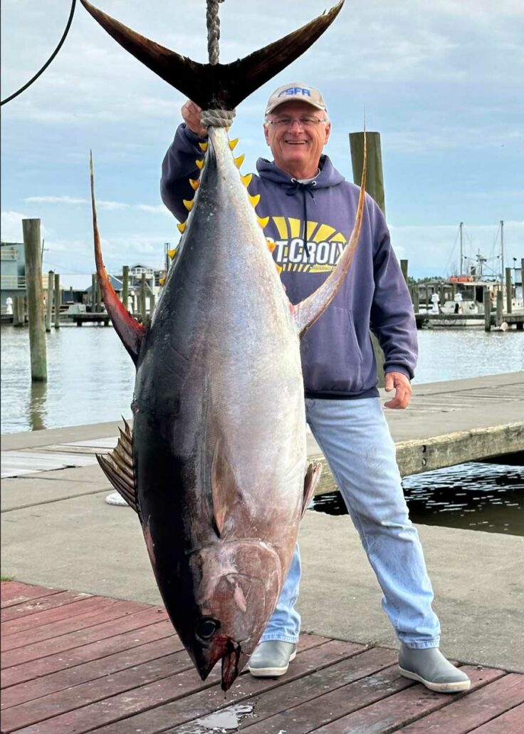 venice tuna fishing