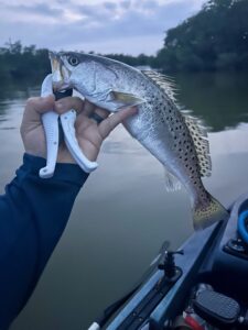 First Topwater Fish of the Year - Banana River Trout