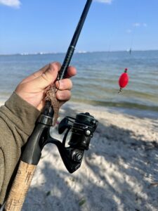 Live Shrimp Under a Popping Cork