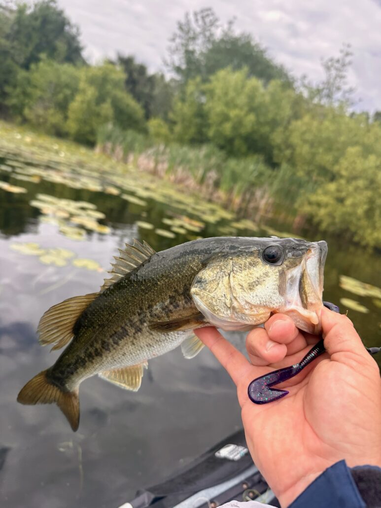 Lake Baldwin (Orlando) – Kayak Fishing Report