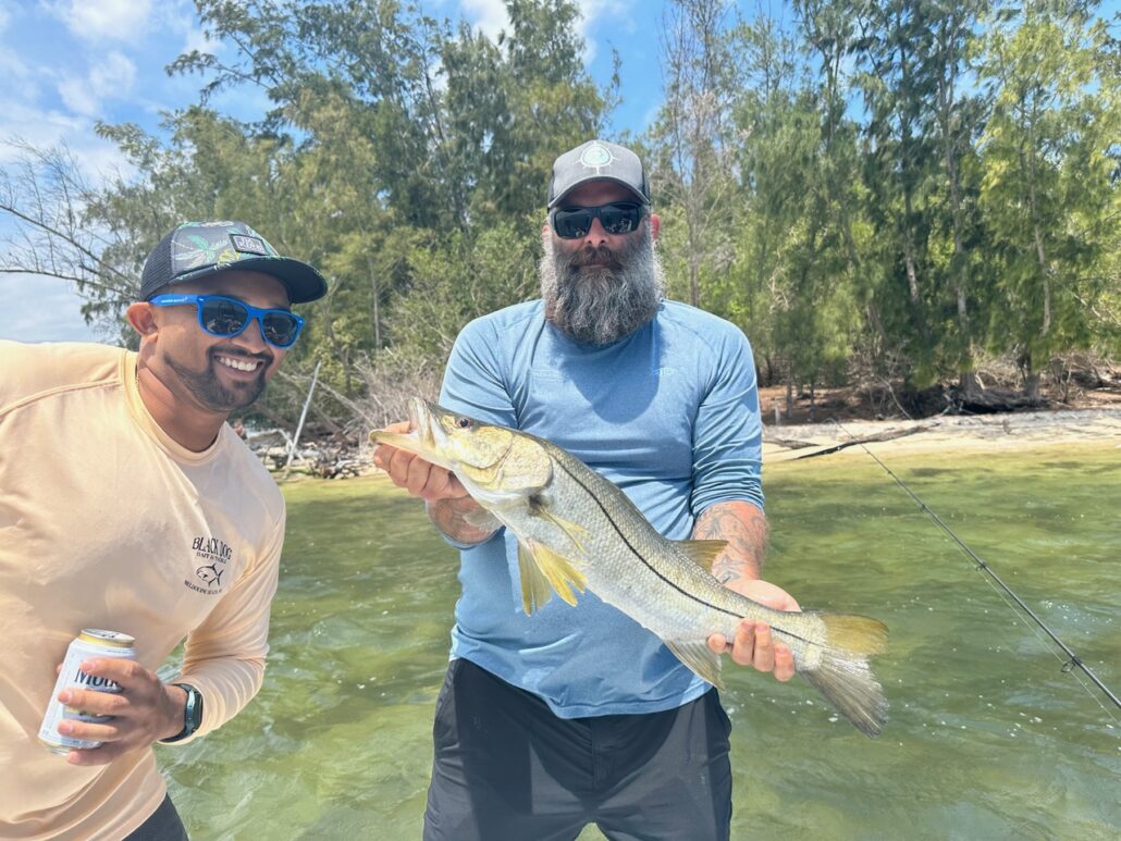 Snook in the shallows