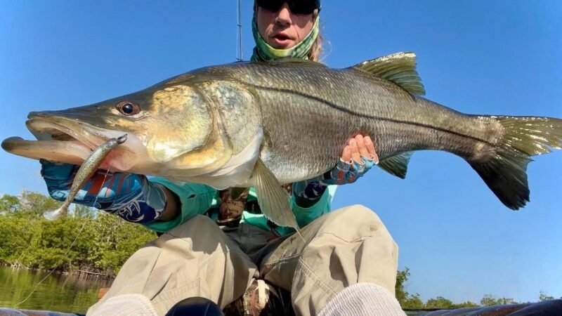 Snook-4-20-24 – Spacefish