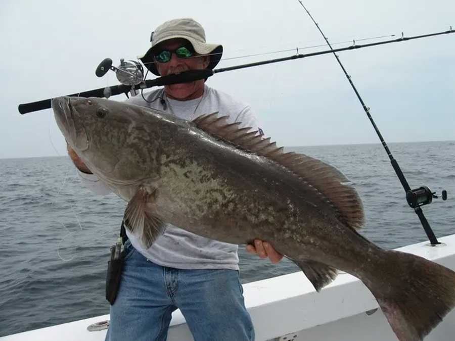 Spacefish: Central Florida's Fishing Authority