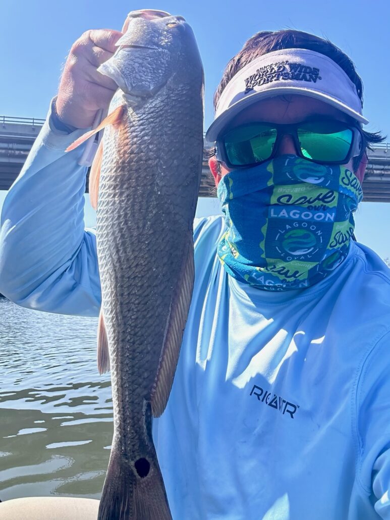 Wabasso Causeway Kayak Fishing