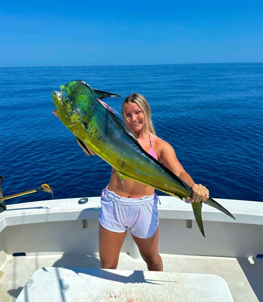 mahi mahi