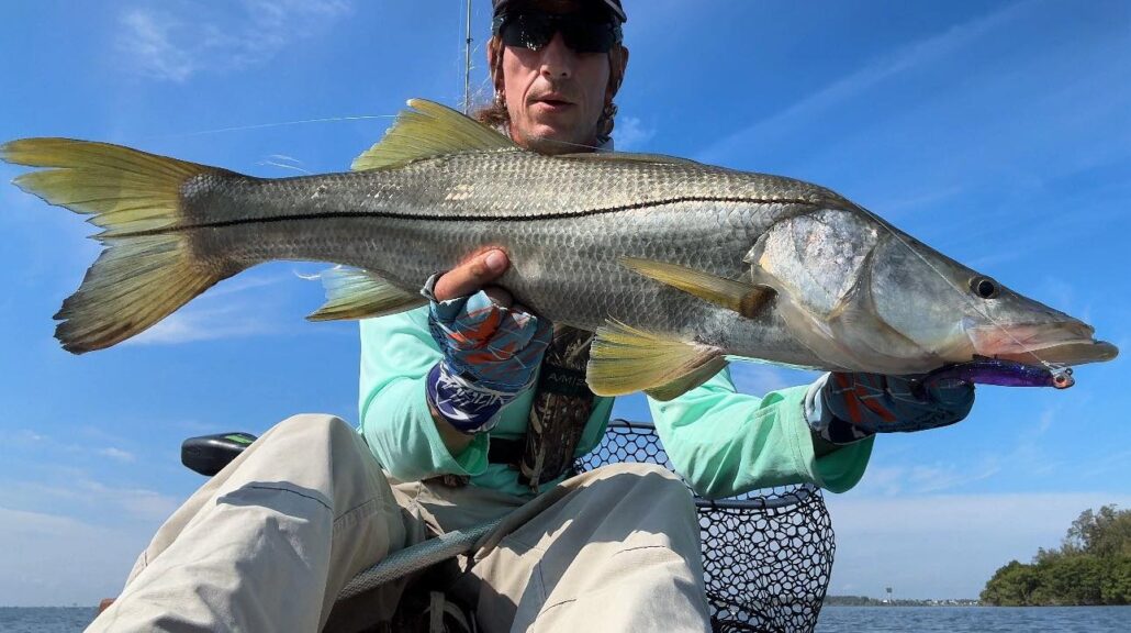 snook fishing