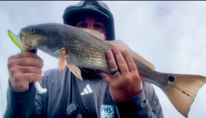 Redfish on Yo-Zuri Pencil