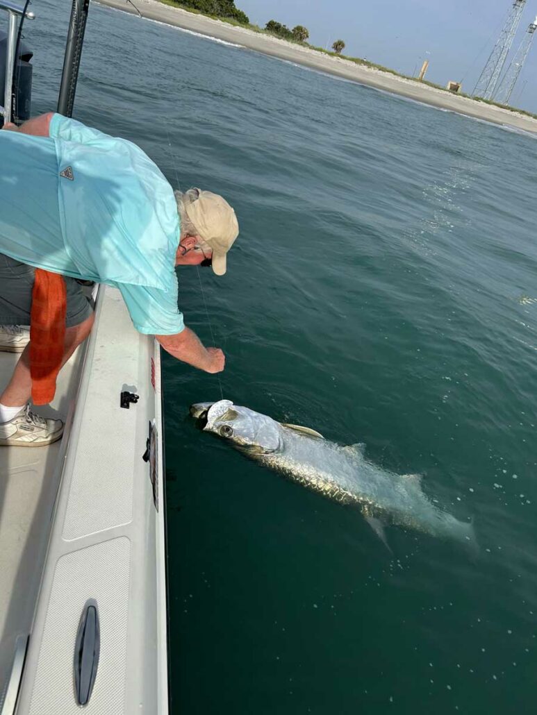 snook and tarpon trips