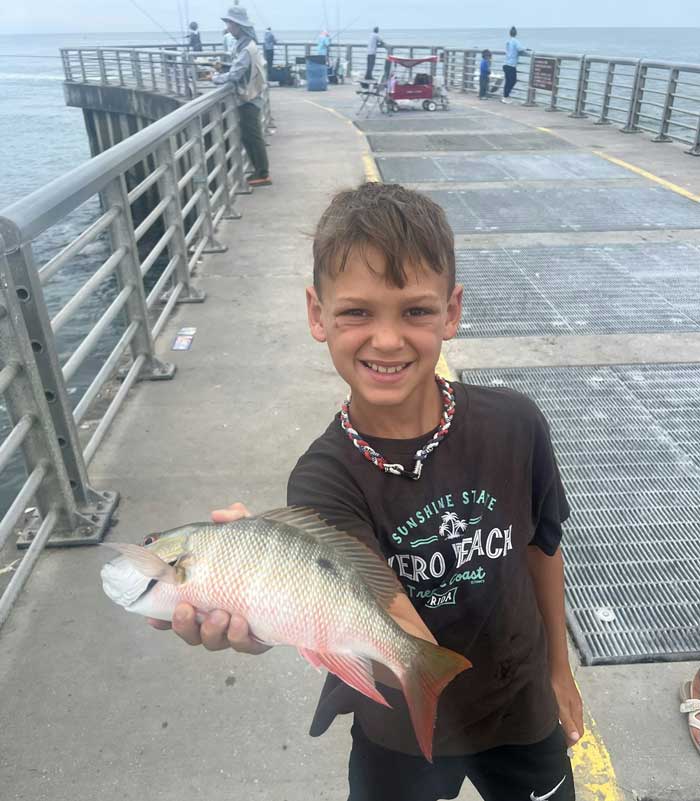 inlet report mutton snapper
