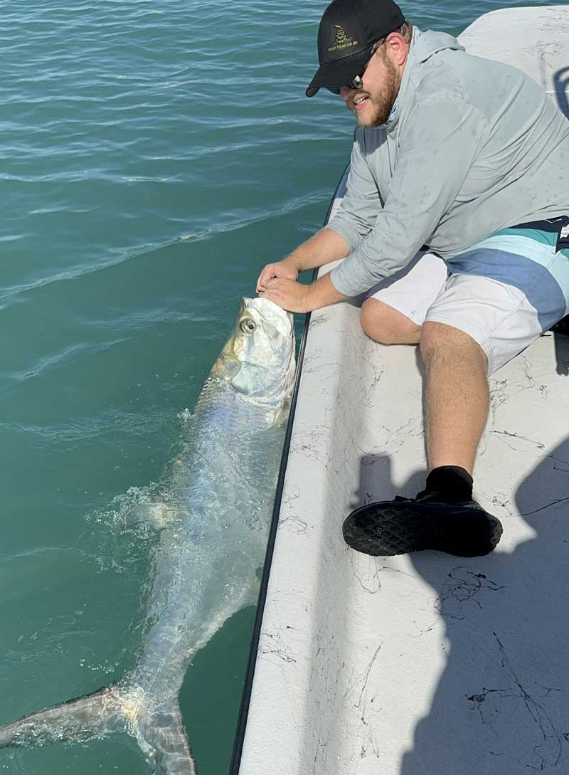 sebastian beach tarpon