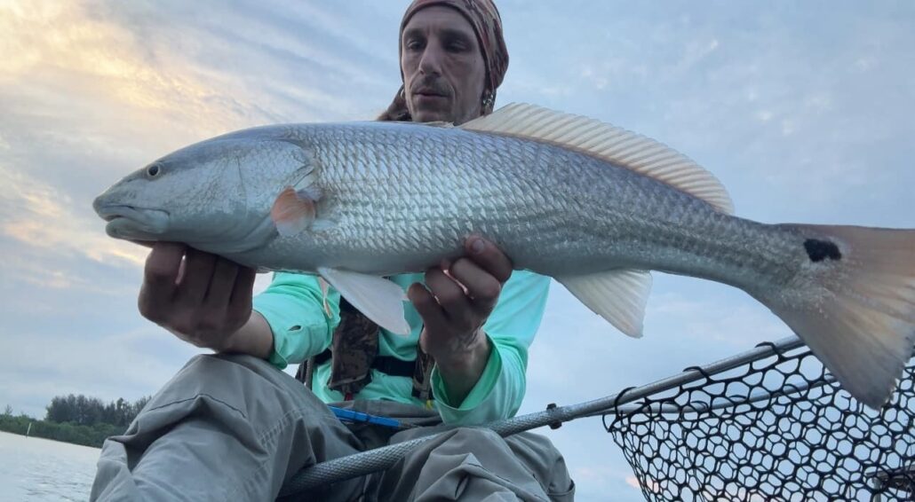 redfish