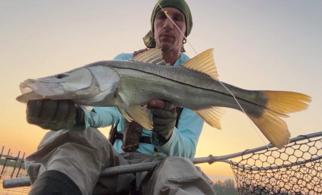 snook fishing