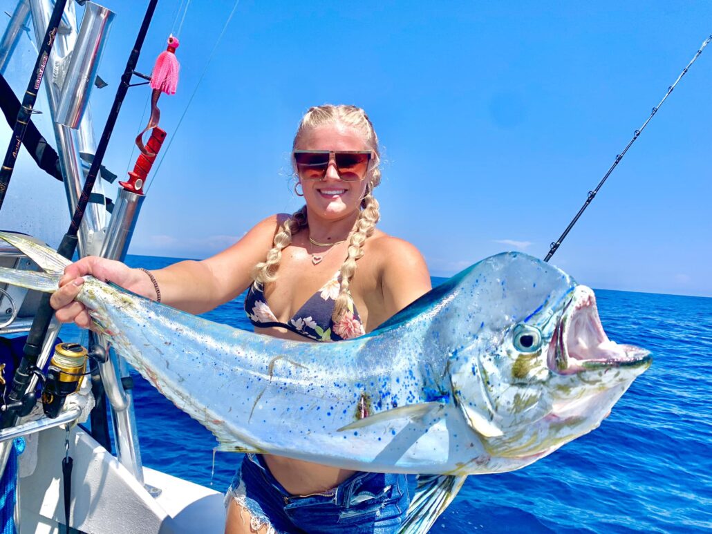 mahi mahi