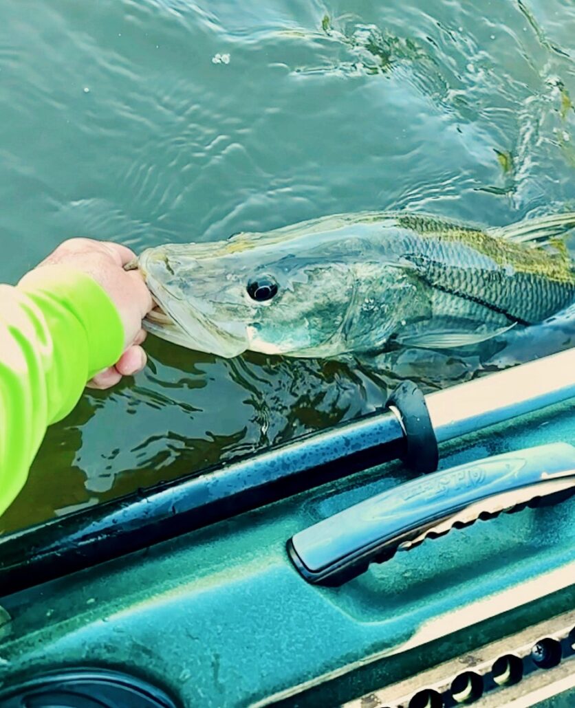 Top Kayak Fishing Spots in East Central Florida