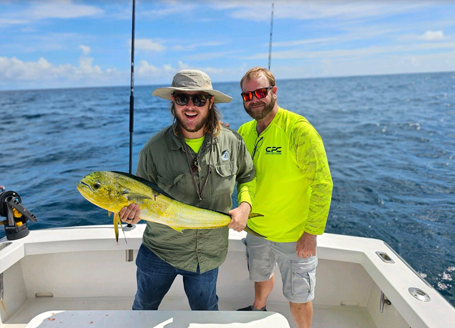 mahi