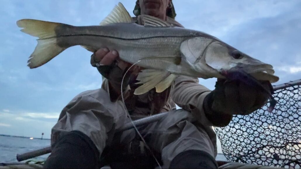 snook report