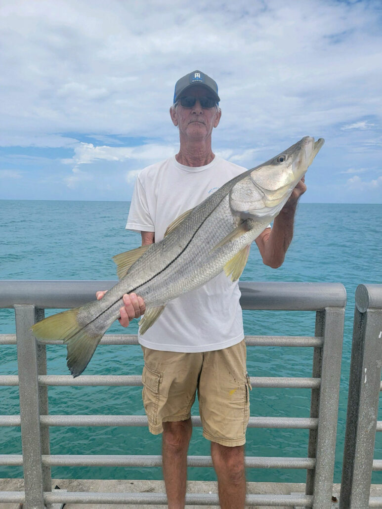 snook season