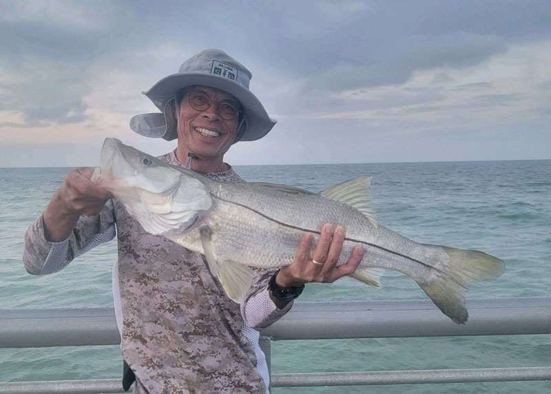 snook at sebastian jetty