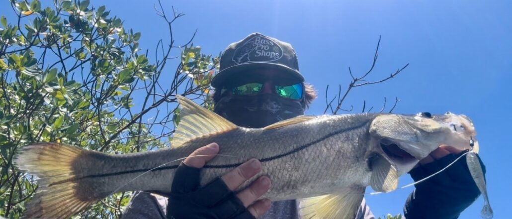 Fort Pierce Mangroves