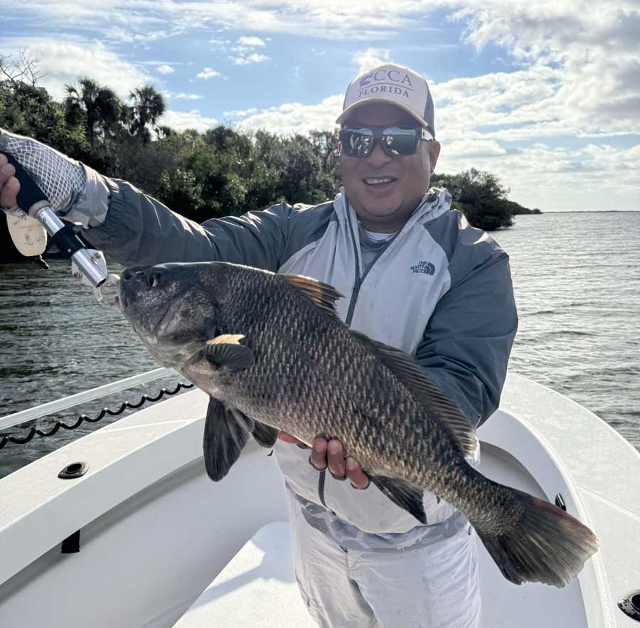 black drum mosquito lagoon