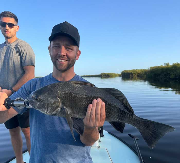 mosquito lagoon black drum