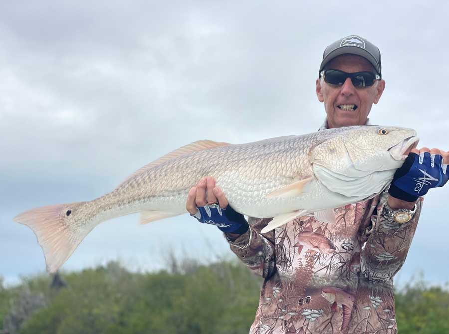 redfish mosquito lagoon