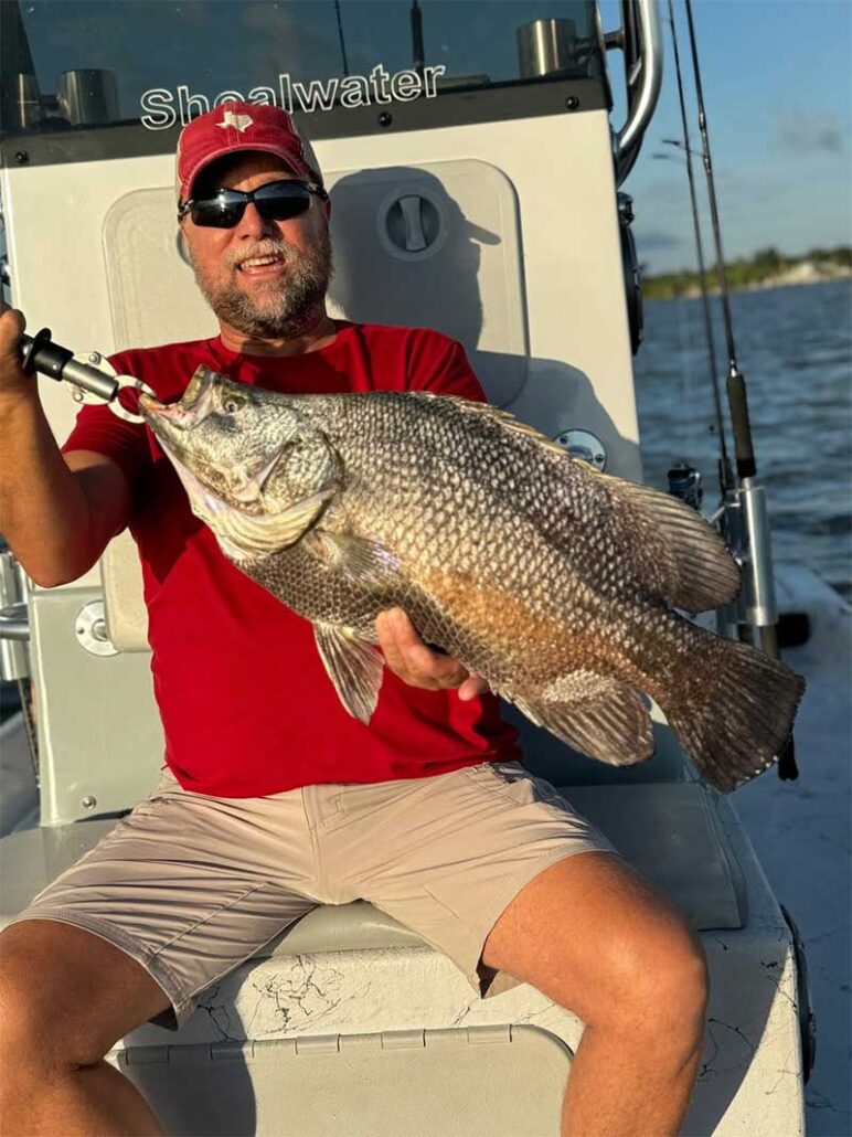 tripletail