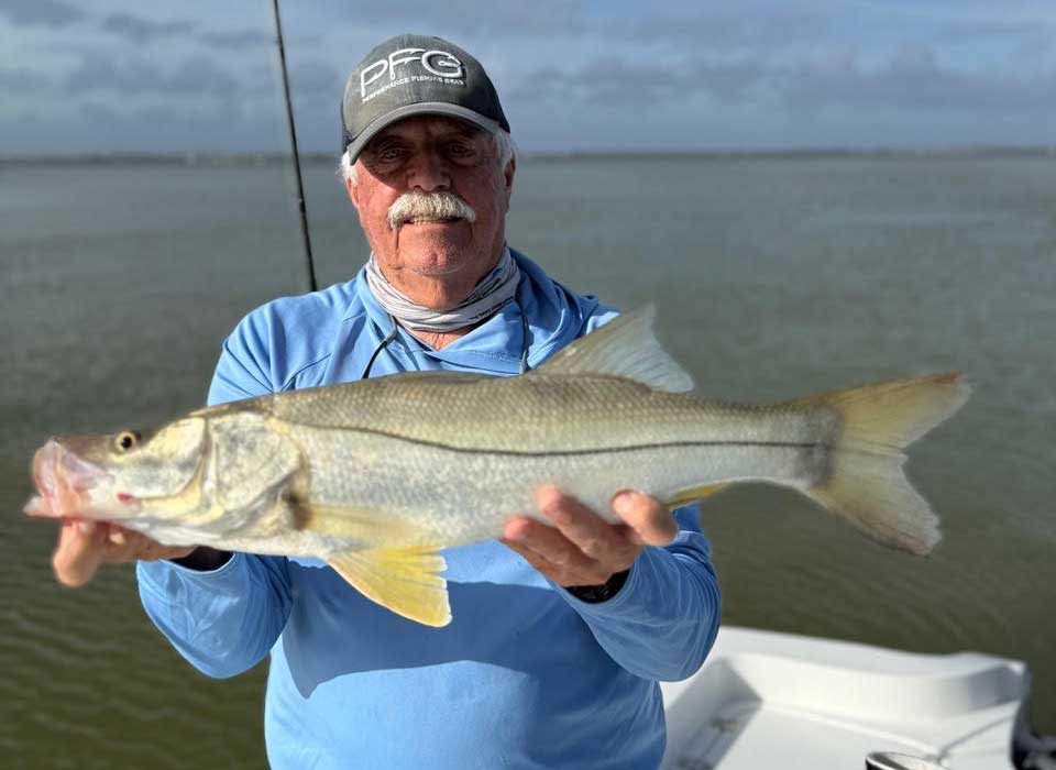 sebastian inshore snook