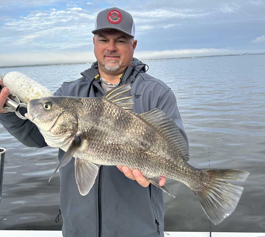 black drum