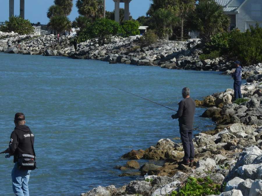 sebastian inlet state park flounder season