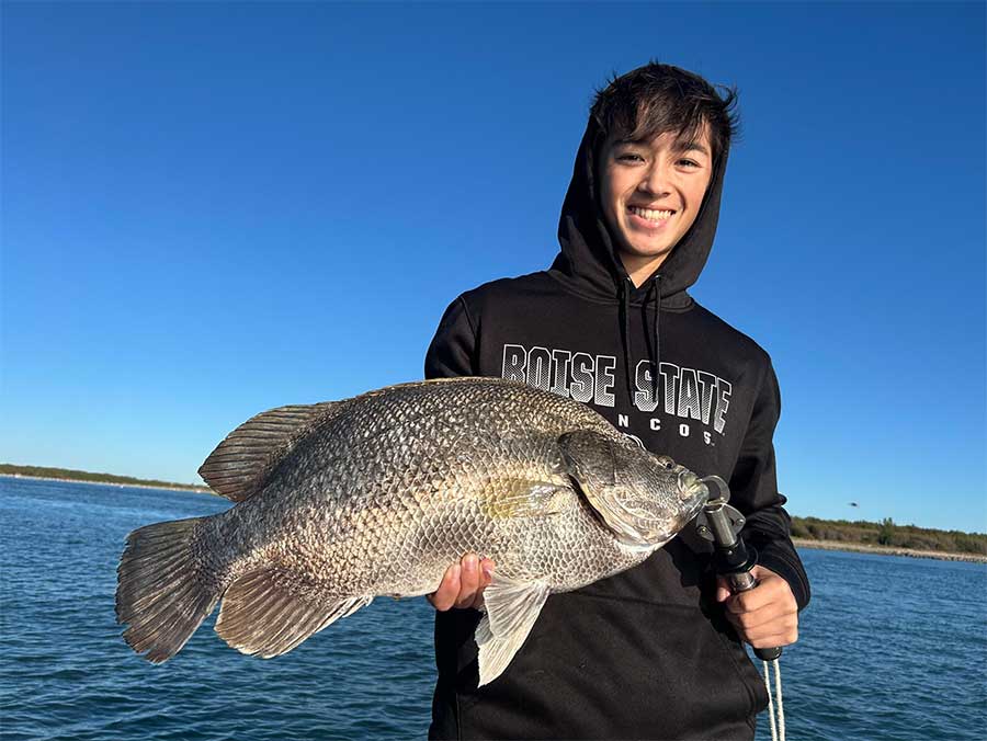 tripletail