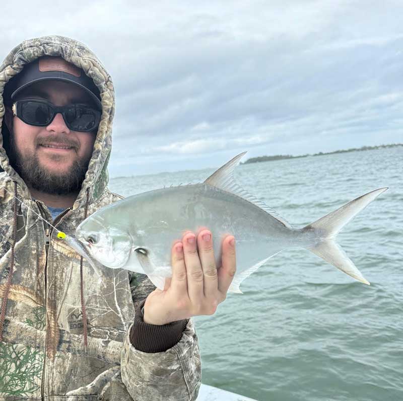 pompano