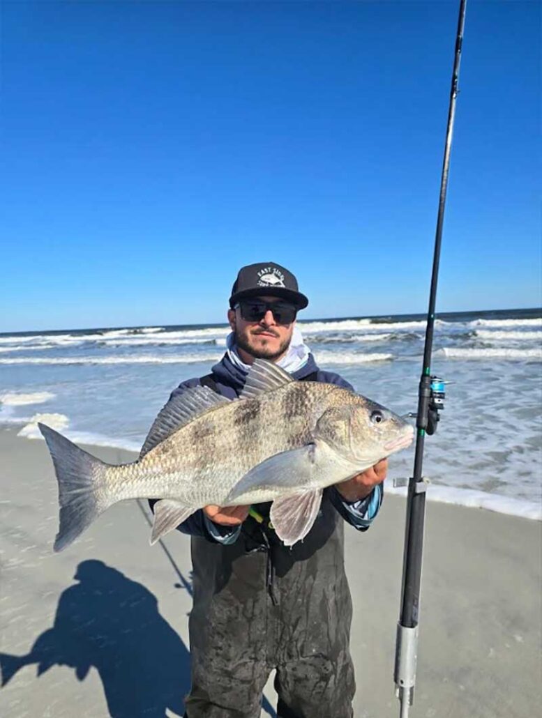 black drum