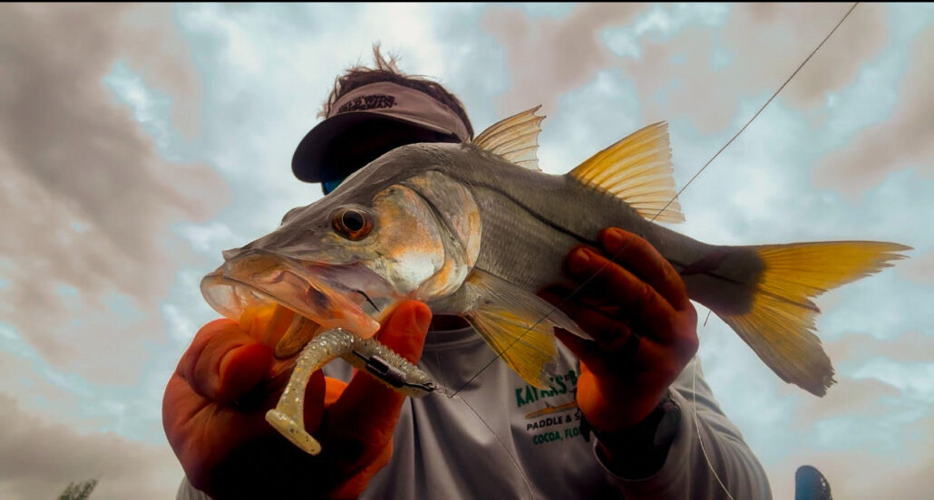 High Volume Snook Action in the Middle of Winter