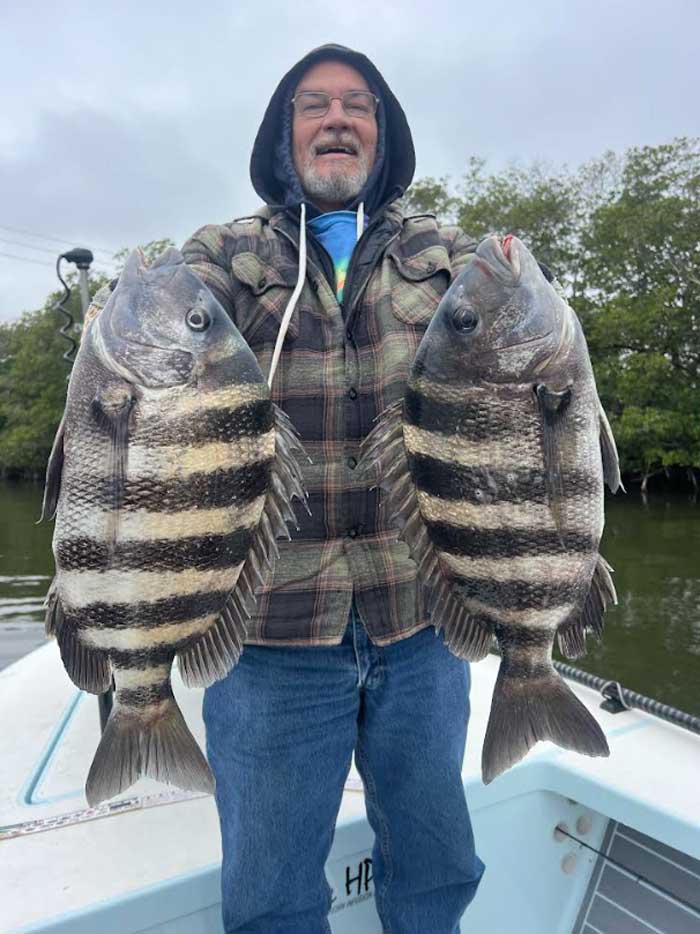 sheepshead