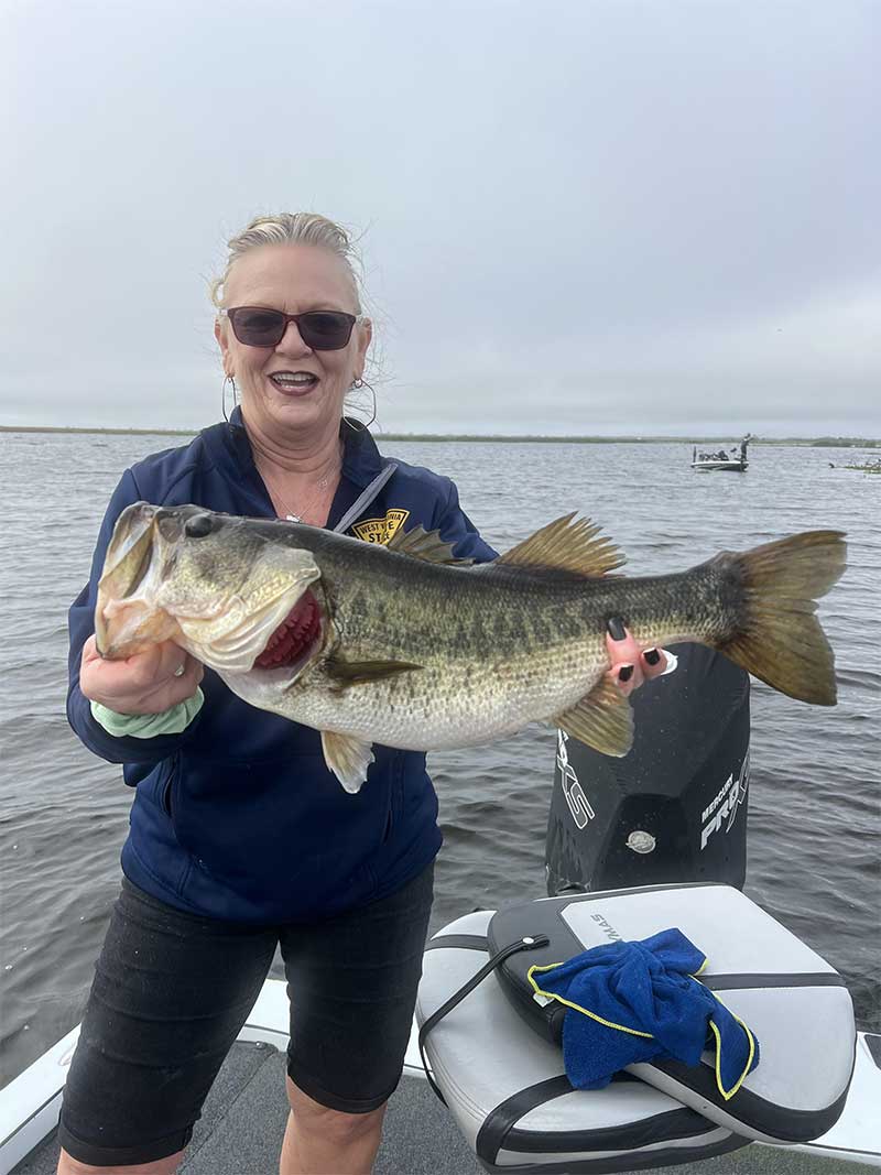 bass report