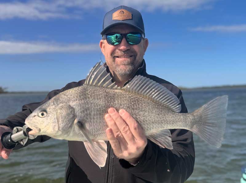 black drum